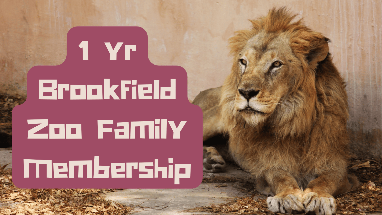 1 year Brookfield Zoo Family Membership